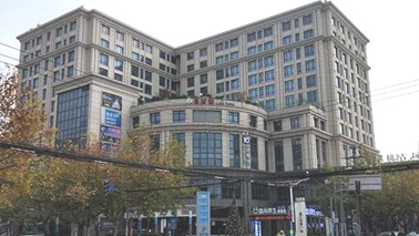 金汇伟大上海总部民房改造